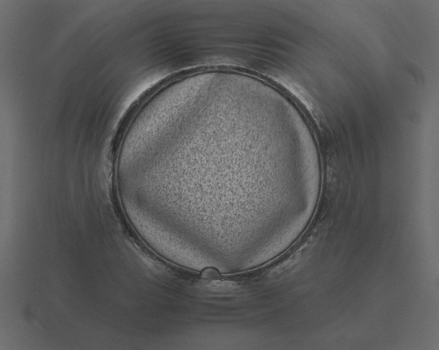 X0000116601119200912241708