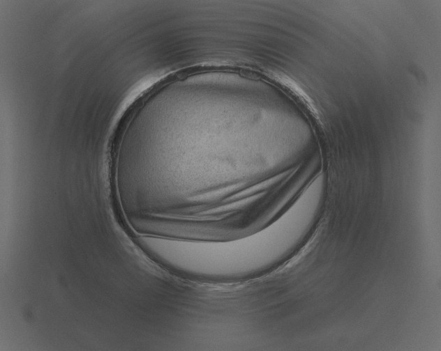 X0000116601122200912241708