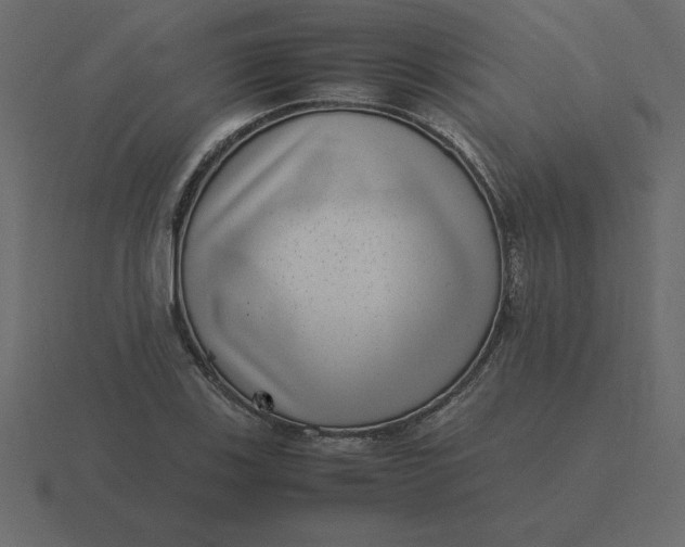 X0000116601123200912241708