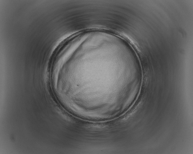X0000116601125200912241708