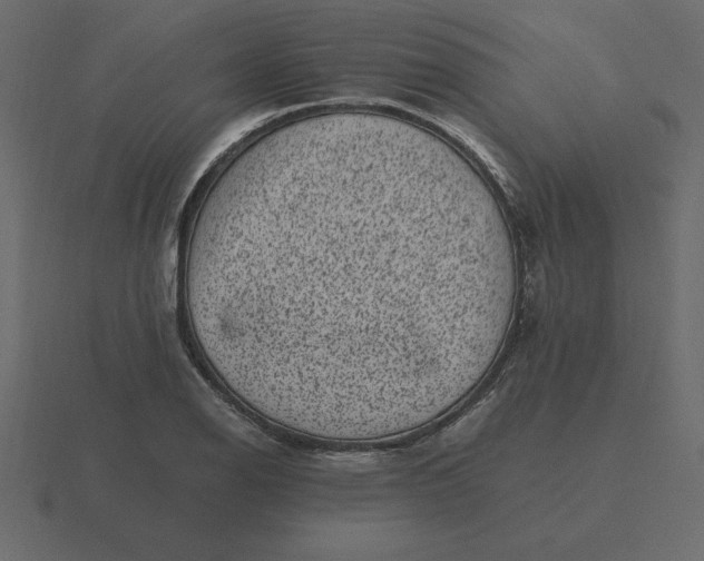 X0000116601126200912241708