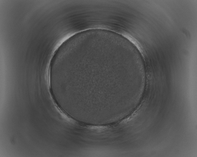 X0000116601127200912241708