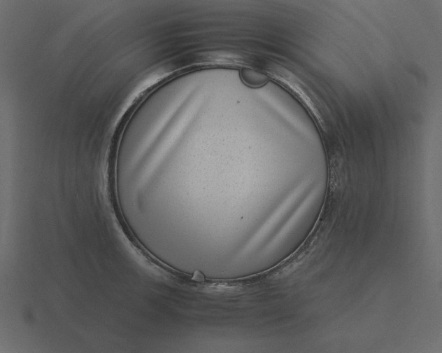 X0000116601139200912241708