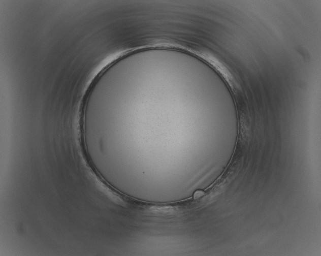 X0000116601142200912241708