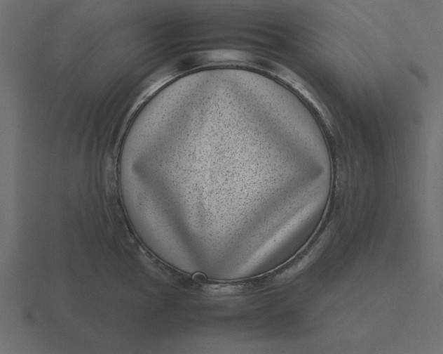 X0000116601145200912241708