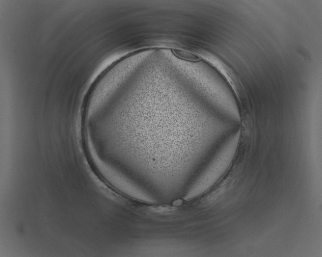 X0000116601147200912241709