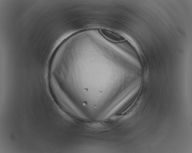 X0000116601149200912241709