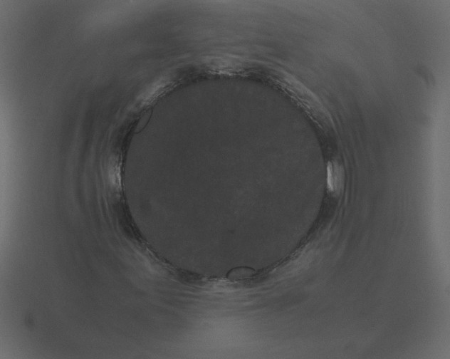 X0000116601155200912241708
