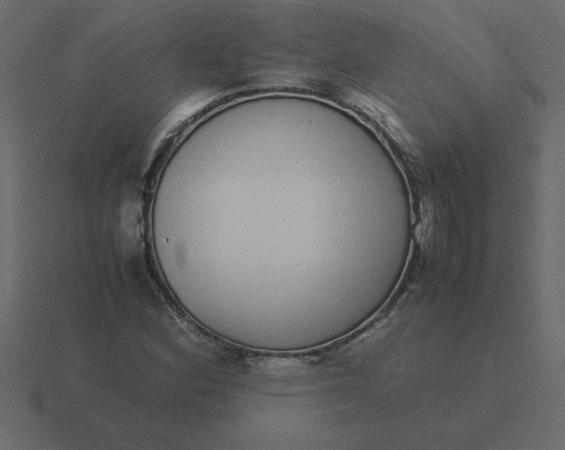 X0000116601164200912241708