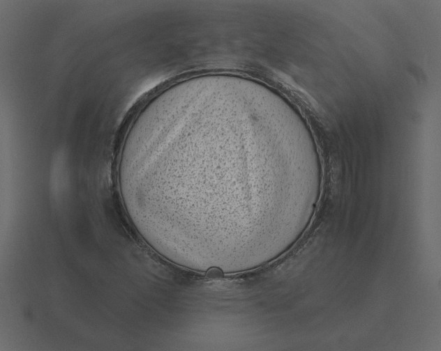X0000116601166200912241708