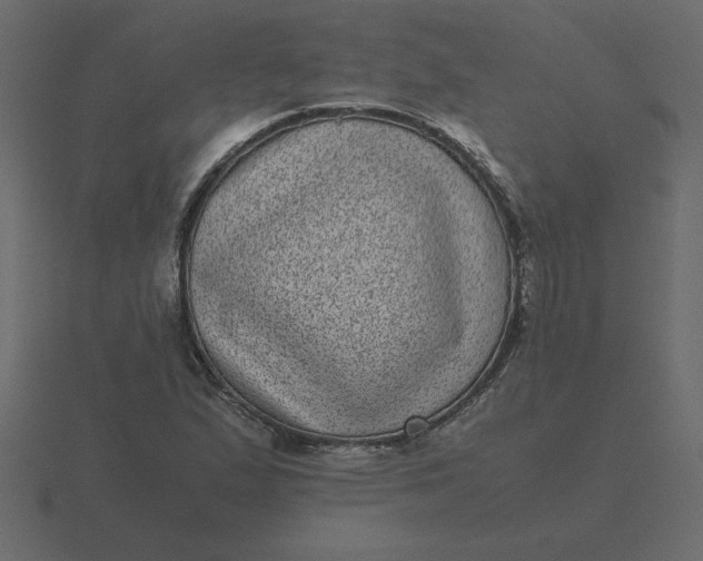 X0000116601167200912241708