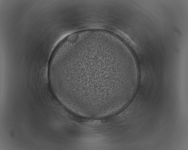 X0000116601174200912241708