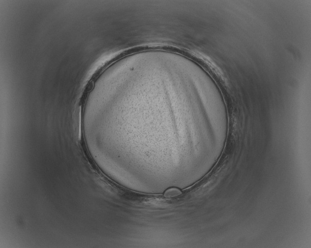 X0000116601175200912241708