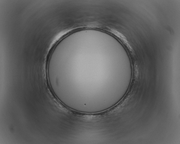 X0000116601176200912241708