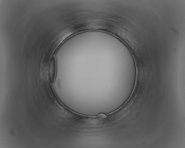 X0000116601177200912241708