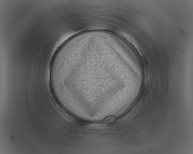 X0000116601179200912241708