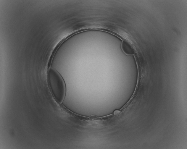 X0000116601181200912241708