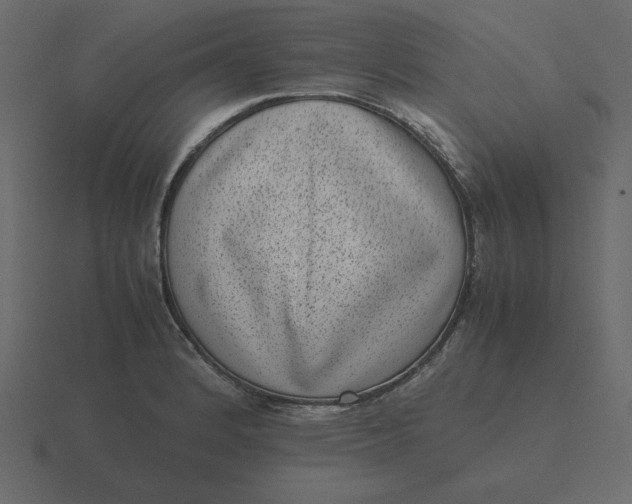 X0000116601184200912241708