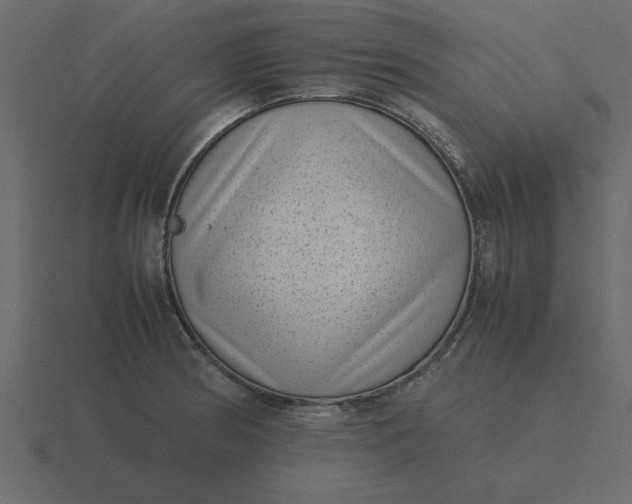 X0000116601186200912241708
