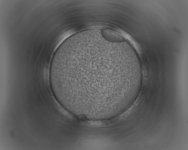 X0000116601194200912241707