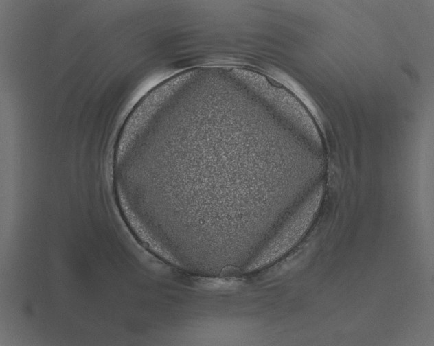 X0000116601195200912241707