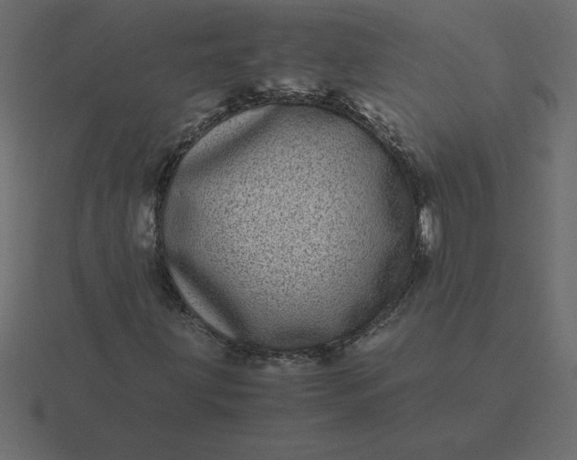 X0000116601203200912241707