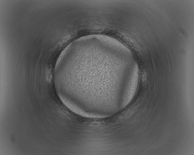 X0000116601204200912241707