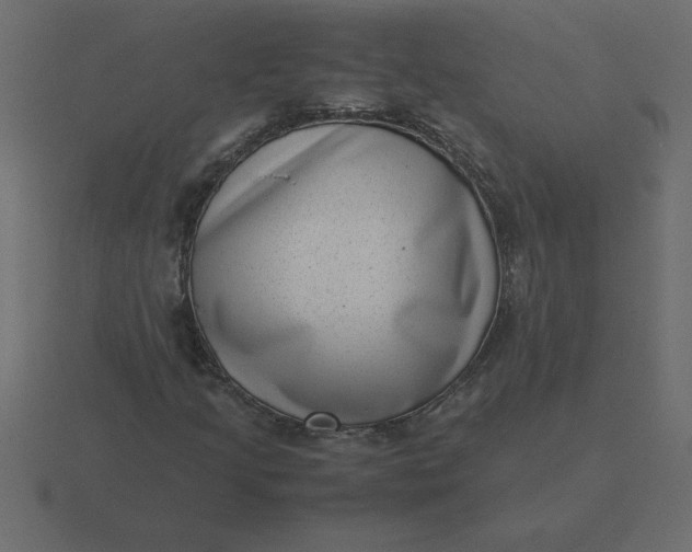 X0000116601205200912241707