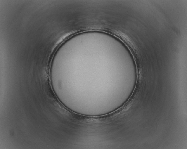 X0000116601212200912241707