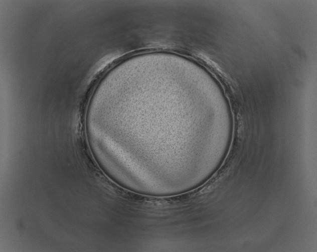 X0000116601215200912241707