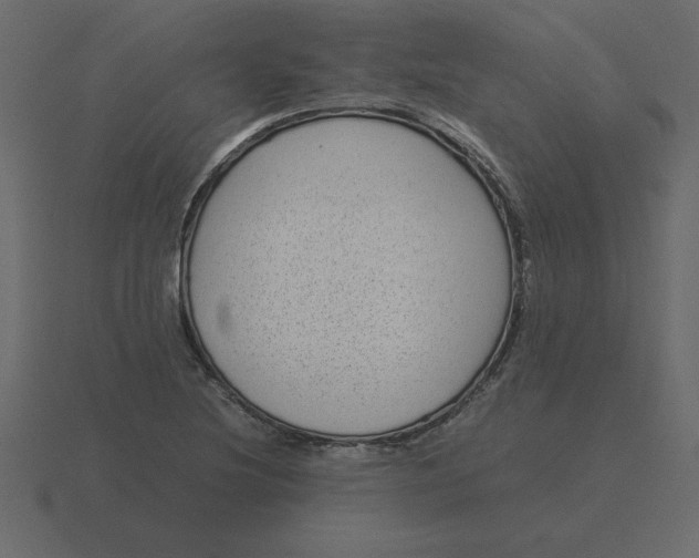 X0000116601220200912241707