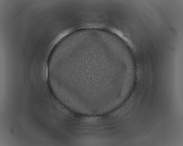 X0000116601221200912241707