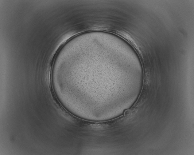 X0000116601227200912241707