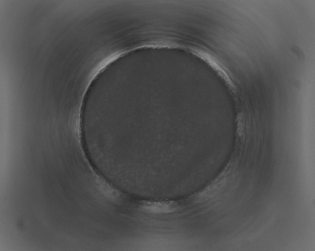 X0000116601229200912241707