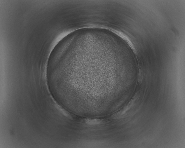 X0000116601231200912241707