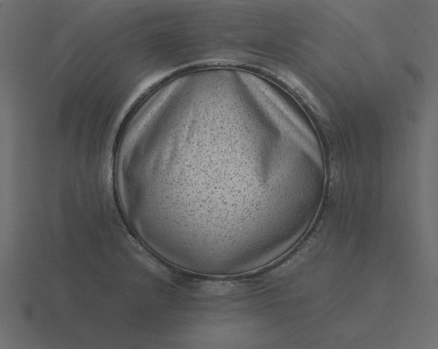 X0000116601232200912241707