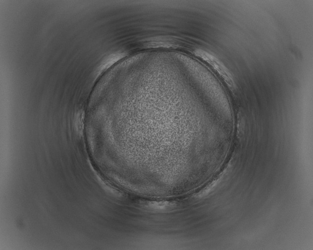 X0000116601233200912241707