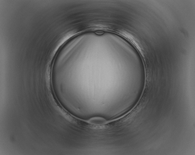 X0000116601235200912241707