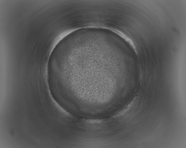 X0000116601239200912241707