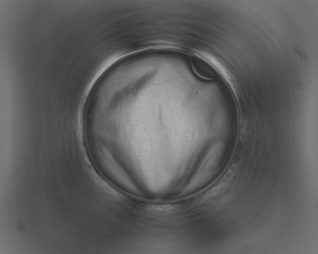 X0000116601243200912241707
