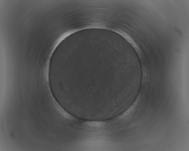 X0000116601246200912241707