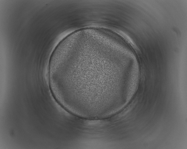 X0000116601247200912241707