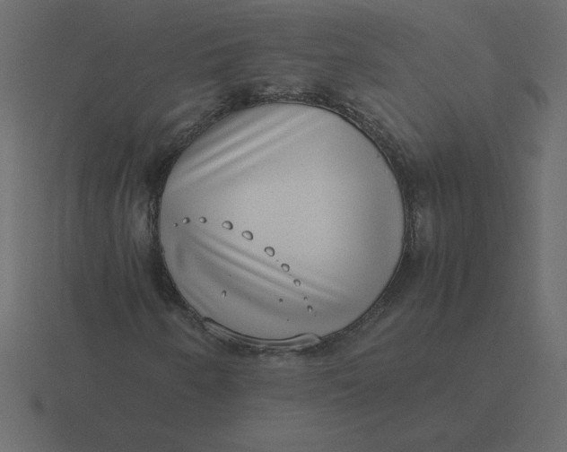 X0000116601250200912241707