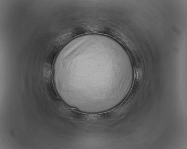 X0000116601251200912241707
