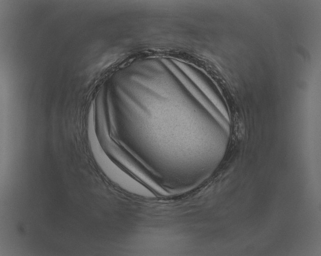 X0000116601253200912241707