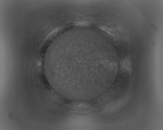 X0000116601254200912241707