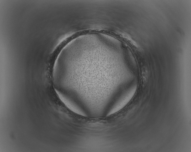 X0000116601256200912241707
