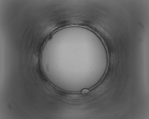 X0000116601257200912241707
