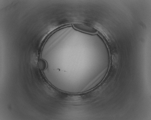 X0000116601260200912241707