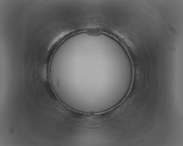 X0000116601262200912241707